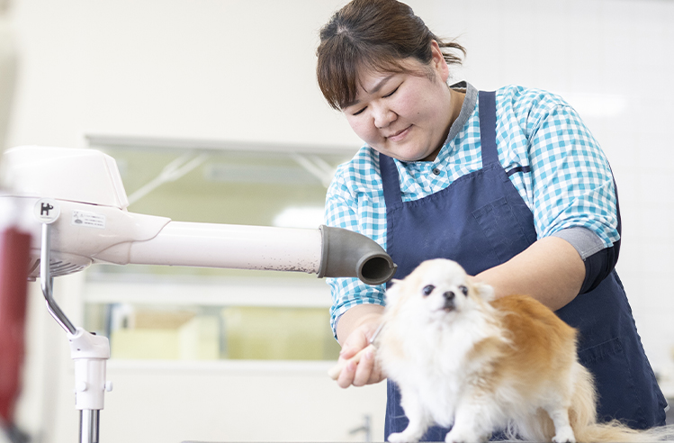 先輩社員